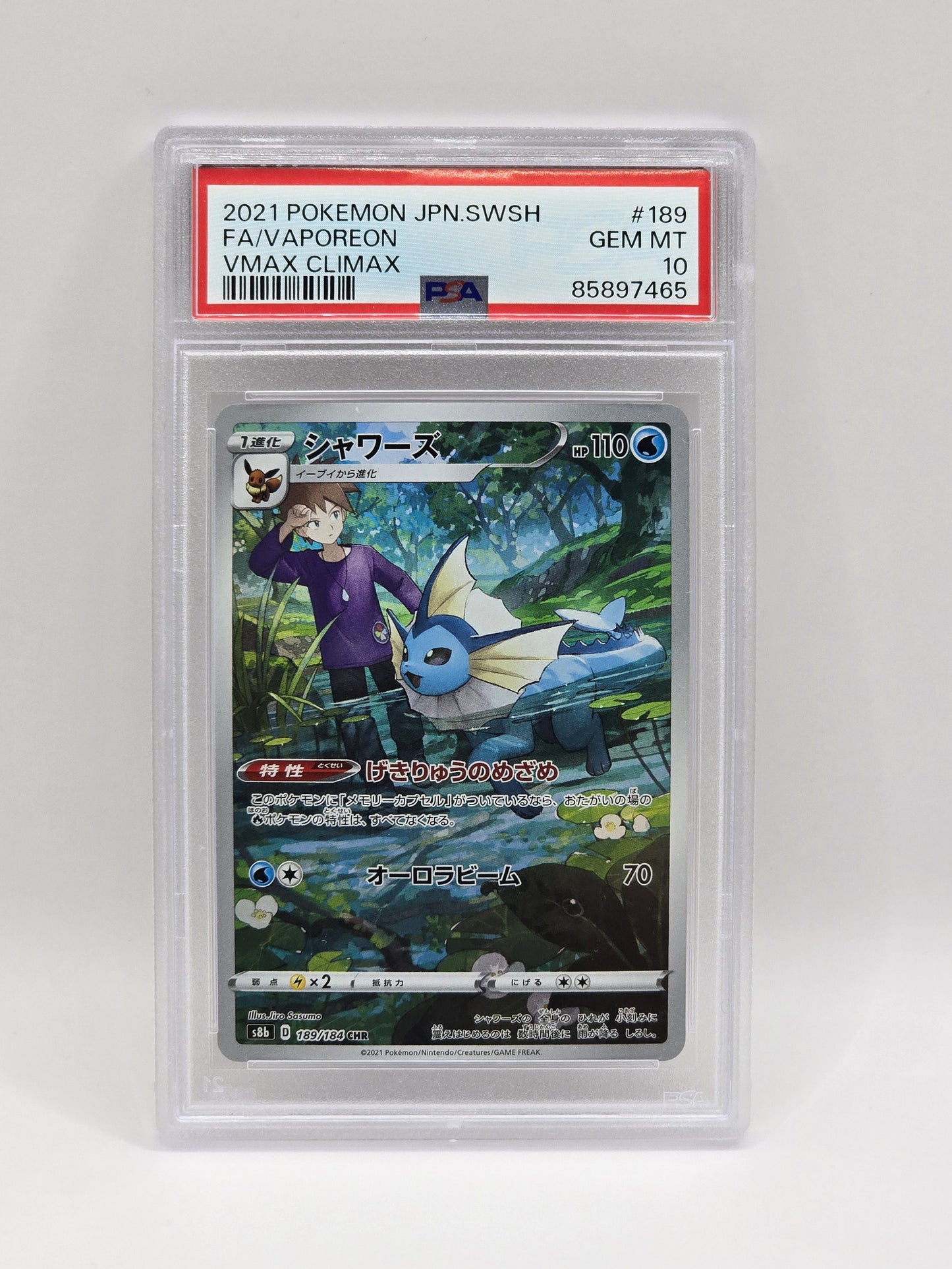 Eevee Evolutions VMAX Climax SET - PSA 10