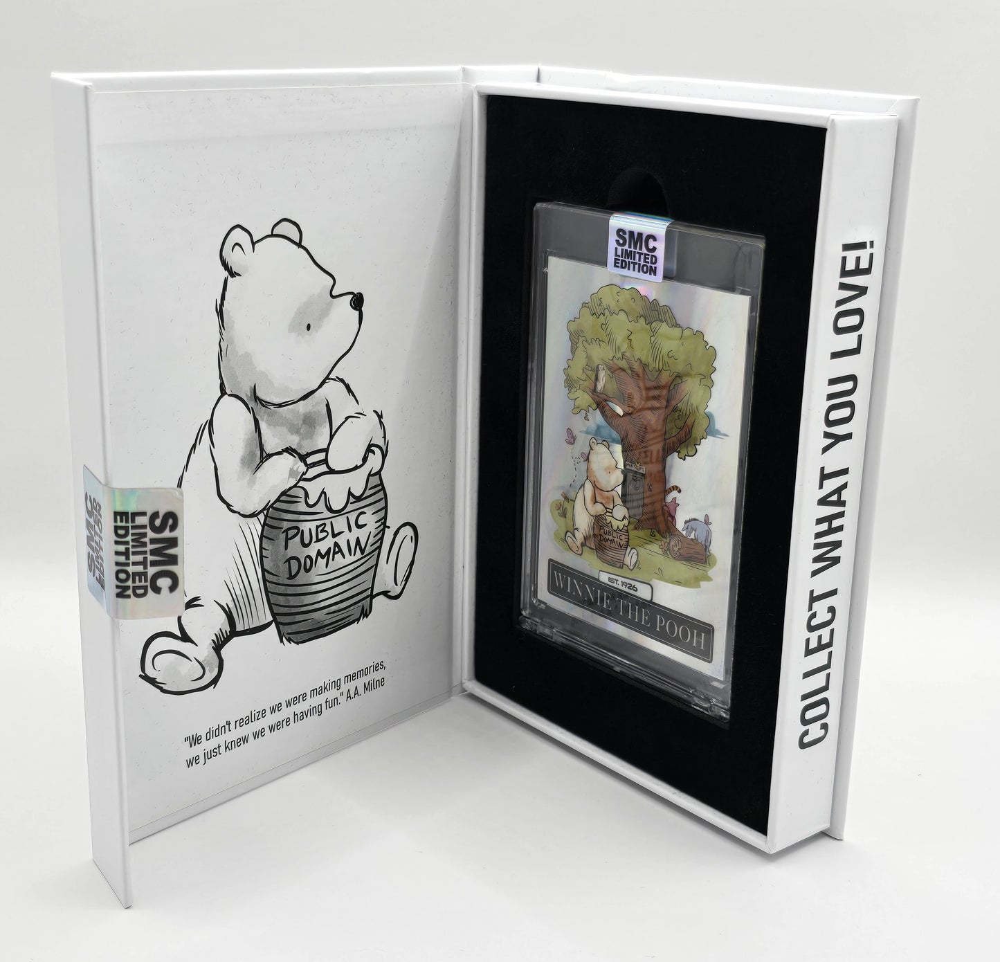 Winnie The Pooh 2024 SMC - Silver